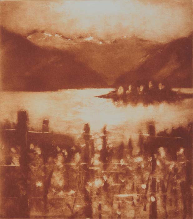 15 Autumn Vines, Wanaka 1517