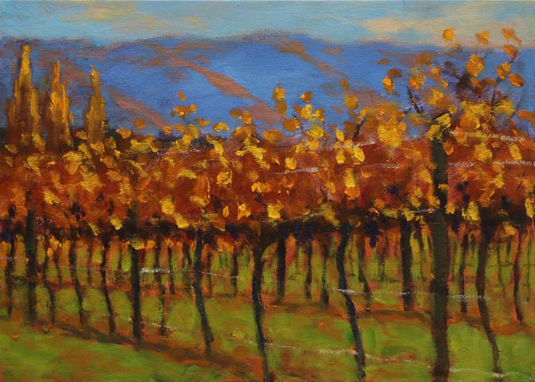 14 230501 The Pisa Range from Bannockburn 3525