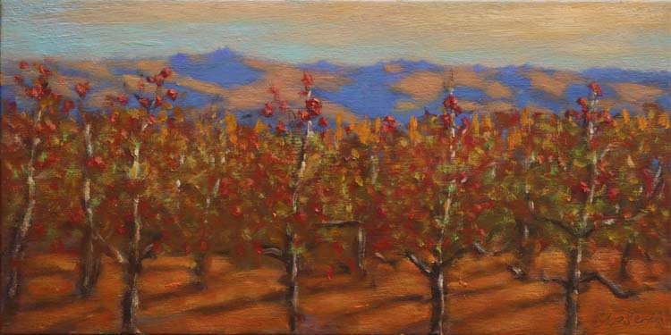 15 230501 Apple Orchard, Earnscleugh 4221