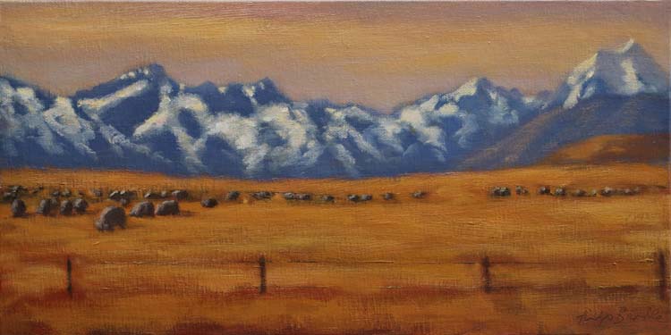 16 230501 Mackenzie Country Landscape 4221