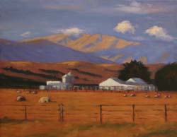 07 230423 Evening, Ida Valley 4535