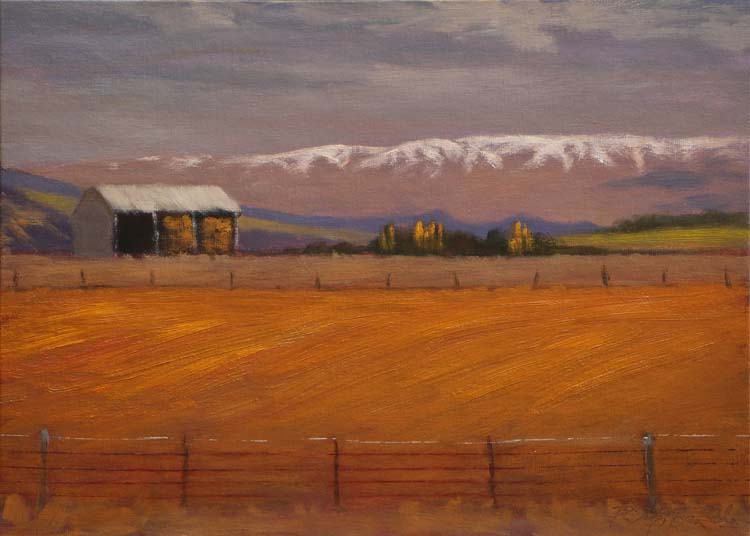 14 210927 Towards the Raggedy Range from Ida Valley 3525