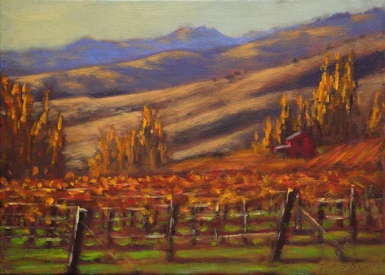 210601 Vineyard, Bannockburn 3525