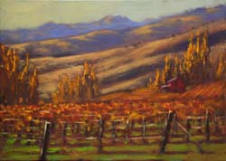 210601 Vineyard, Bannockburn 3525