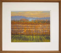 13 250303 View Hil from the Waimakariri River 7868F