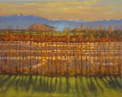 13 250303 View Hill from the Waimakariri River 5040